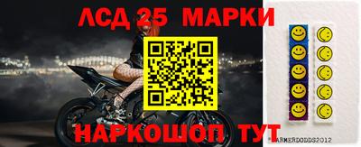 гашик Надым