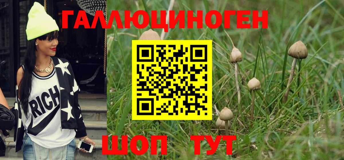 Дзержинск  Галлюциногенные грибы Cubensis  Вход с VPN 